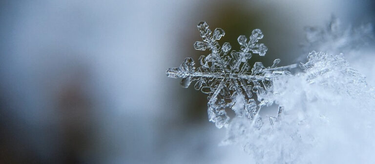 How To Enjoy Winter (even if you hate it)