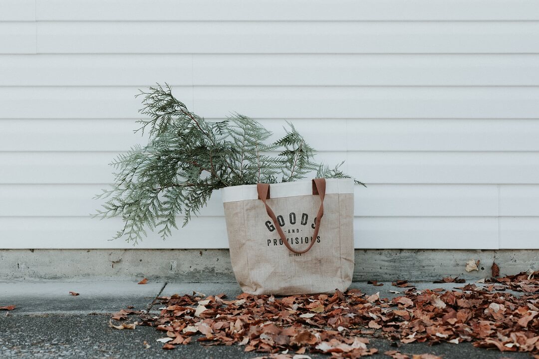 Canvas shopping bag with plant