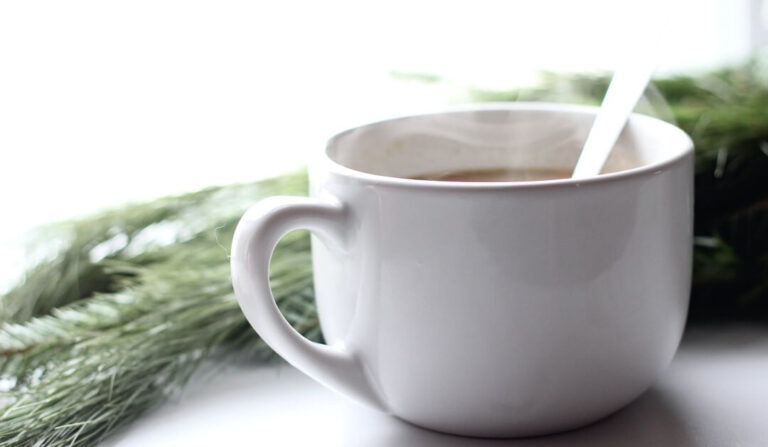 Coffee cup steaming beside pine tree branch
